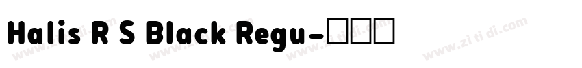 Halis R S Black Regu字体转换